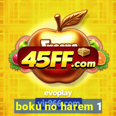 boku no harem 1